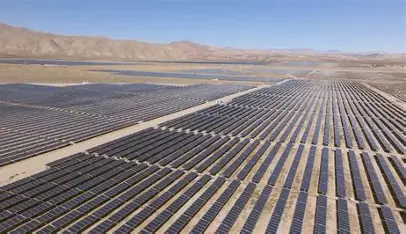 ribollaisraele